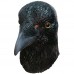 Crow