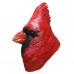Cardinal Bird