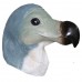 Dodo - Grey Dodo - Grey
