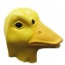 Yellow Duck Yellow Duck