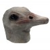 Ostrich