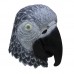 Grey Parrot