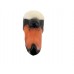 Swan Swan