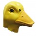 Yellow Duck Yellow Duck
