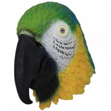 Multicoloured Parrot 