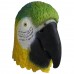 Multicoloured Parrot 