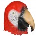 Red Parrot