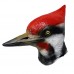 Woodpecker