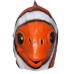 Clown Fish