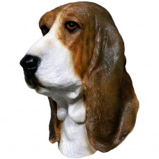 Basset Hound Dog Basset Hound Dog
