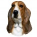 Basset Hound Dog