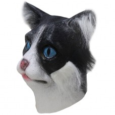 Black / White Cat with Fur Black / White Cat with Fur