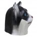 Black / White Cat with Fur