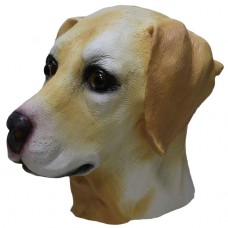 Golden Labrador Dog Golden Labrador Dog