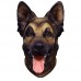 German Sheperd Dog