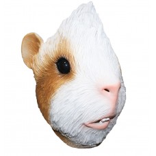 Guinea Pig