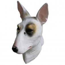 Pit Bull Dog Pit Bull Dog