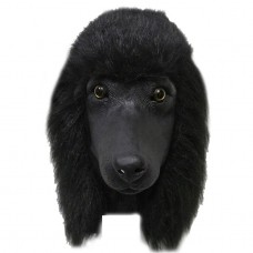 Black Poodle Dog Black Poodle Dog