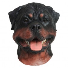 Rottweiler Dog Rottweiler Dog