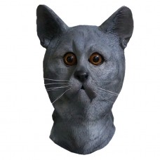 Grey Cat Grey Cat
