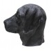 Black Labrador Dog
