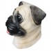 Pug Dog