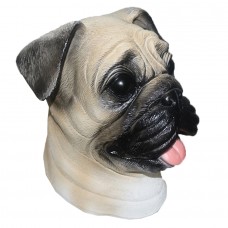 Pug Dog Pug Dog