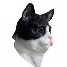 Black / White Cat Black / White Cat