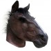 Realistic Dark Brown Horse Realistic Dark Brown Horse