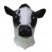 Black / White Milk Cow