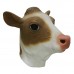 Brown / White Milk Cow