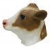 Brown / White Milk Cow