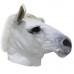 Realistic White Horse Realistic White Horse