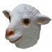 White Sheep White Sheep