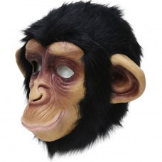 Chimpanzee Chimpanzee