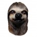 Sloth Sloth