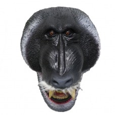 Baboon Baboon