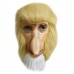Proboscis Monkey Proboscis Monkey