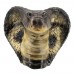 King Cobra Snake