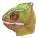 Chaemelon Lizard