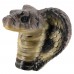 King Cobra Snake