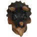 Triceratops Dinosaur