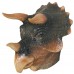Triceratops Dinosaur