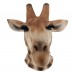 Realistic Giraffe