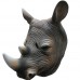 Rhino Rhino