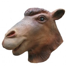Camel Camel