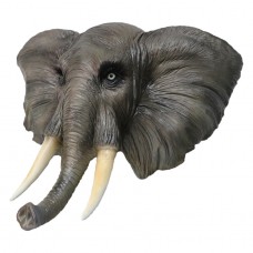 Elephant Elephant