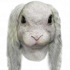 Floppy Ear Rabbit with Fur
