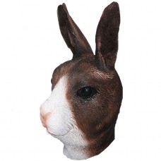 Two Tone Rabbit Two Tone Rabbit