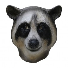 Raccoon Raccoon